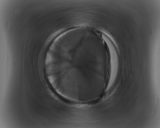 X0000083050577200703022113