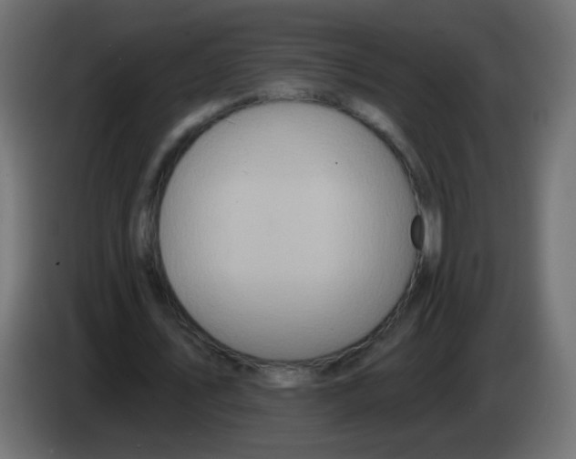 X0000083050579200703022113