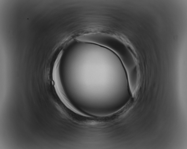 X0000083050585200703022113