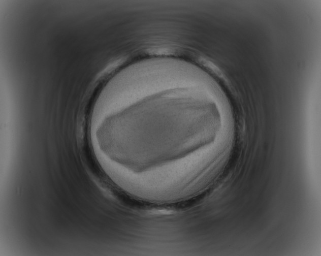 X0000083050586200703022113