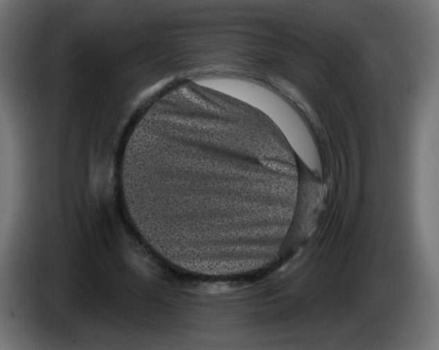 X0000083050588200703022113