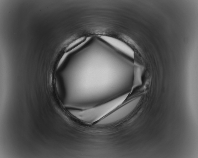 X0000083050589200703022113