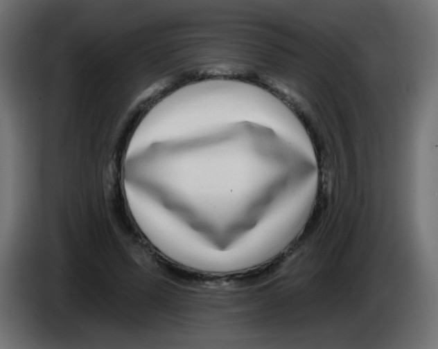 X0000083050591200703022112