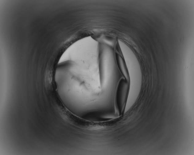 X0000083050593200703022112