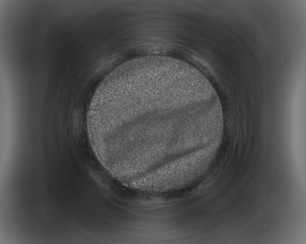 X0000083050594200703022112