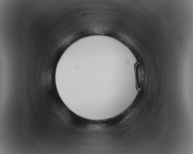 X0000083050595200703022112