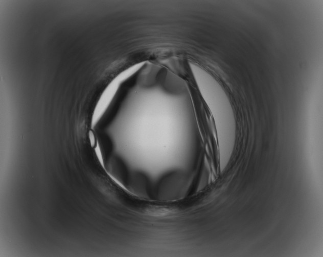 X0000083050597200703022112