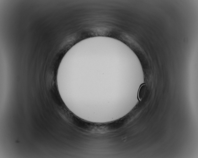 X0000083050599200703022112