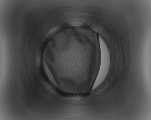 X0000083050600200703022112