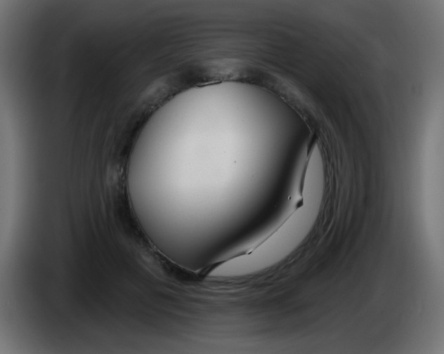 X0000083050601200703022112