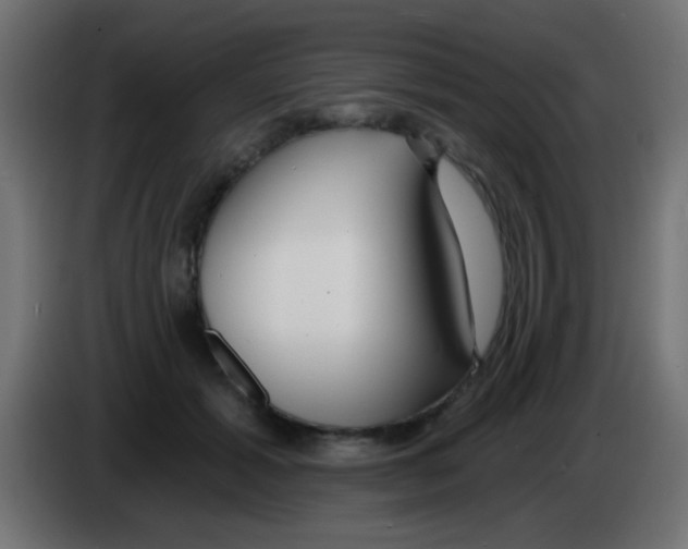 X0000083050605200703022112