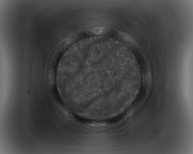 X0000083050606200703022112