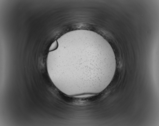 X0000083050607200703022112