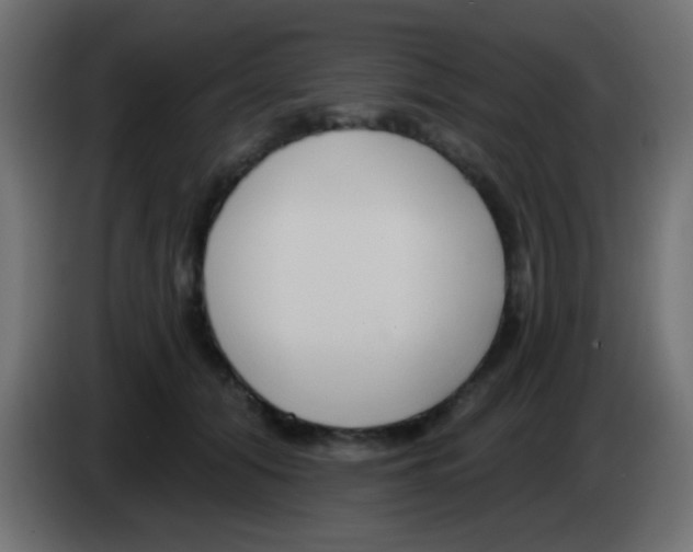 X0000083050608200703022112