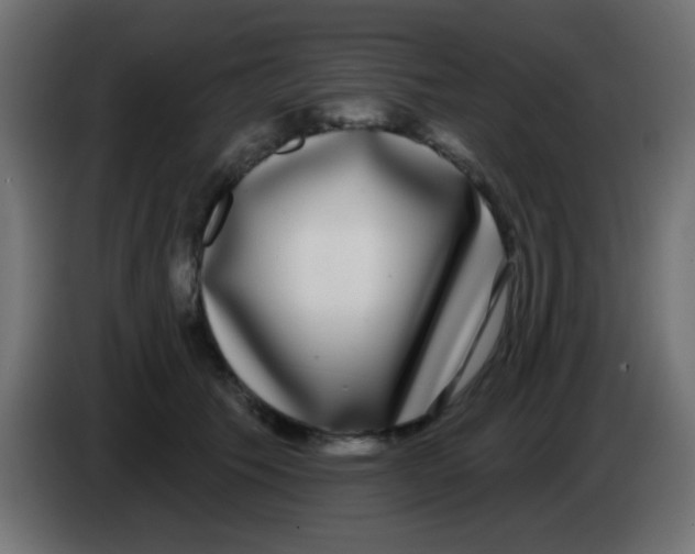 X0000083050609200703022112