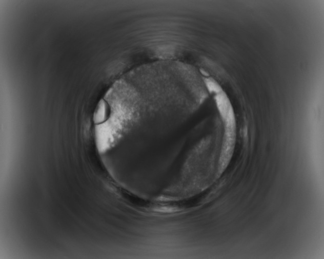 X0000083050610200703022112