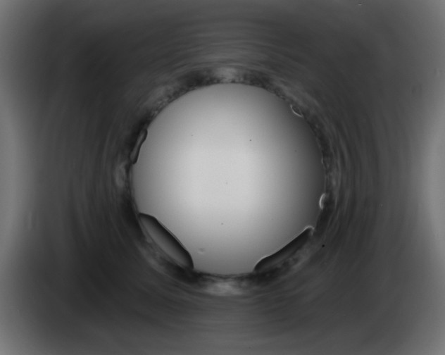 X0000083050611200703022112