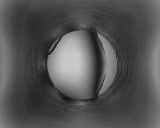 X0000083050613200703022112