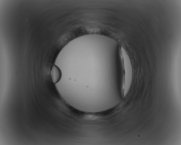 X0000083050614200703022112