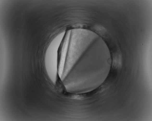 X0000083050616200703022112