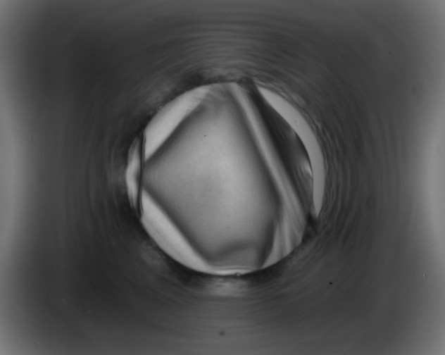 X0000083050617200703022112