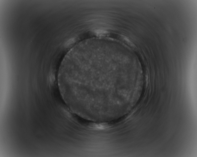 X0000083050618200703022112