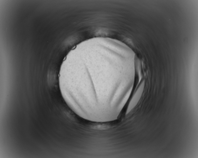 X0000083050619200703022112