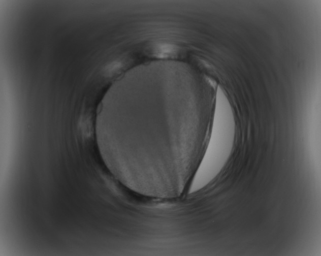 X0000083050620200703022112