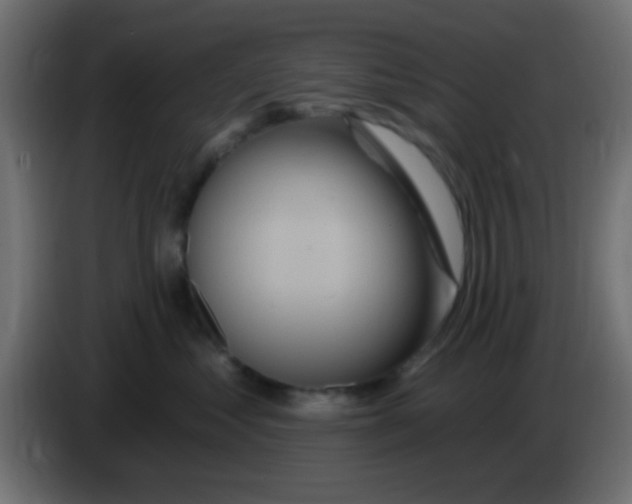 X0000083050621200703022112