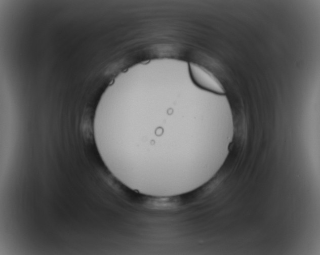 X0000083050622200703022112