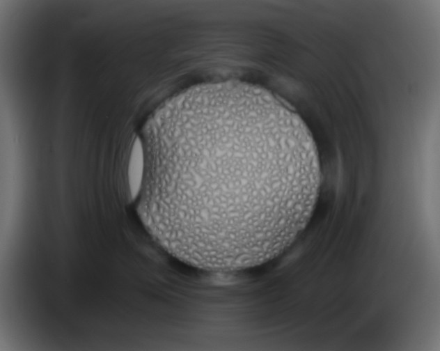 X0000083050623200703022112