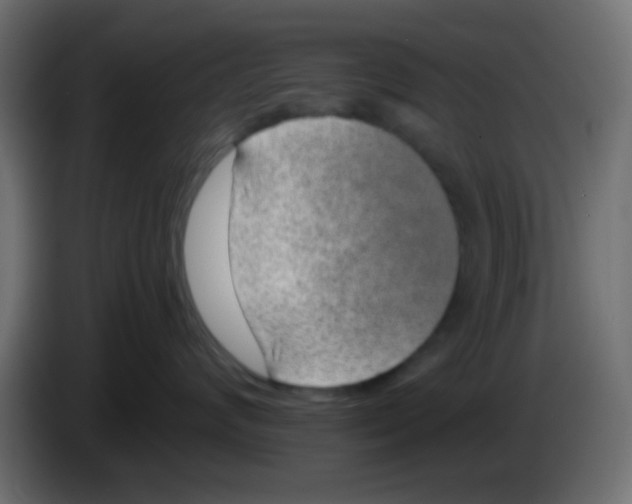 X0000083050624200703022112