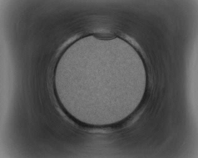 X0000083050625200703022111