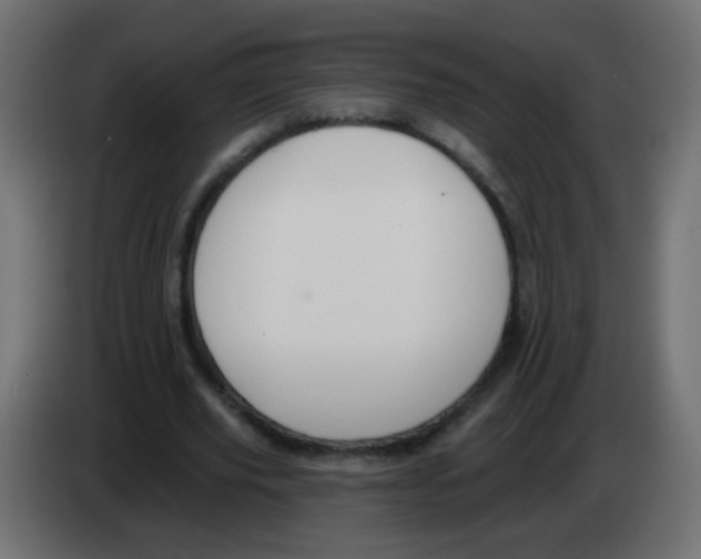 X0000083050629200703022111