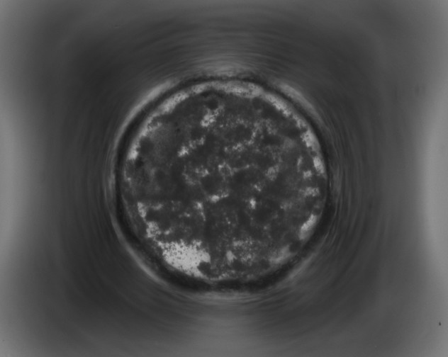 X0000083050630200703022111