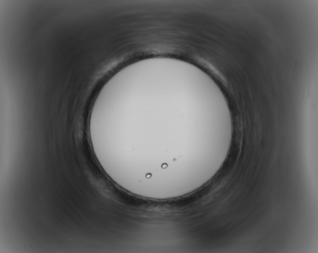 X0000083050631200703022111