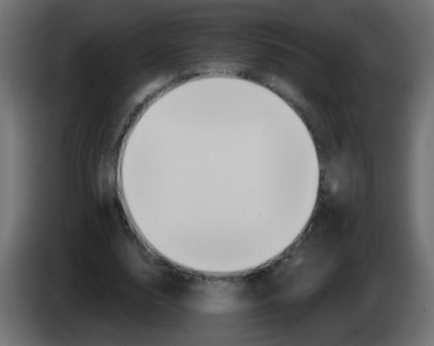 X0000083050632200703022111