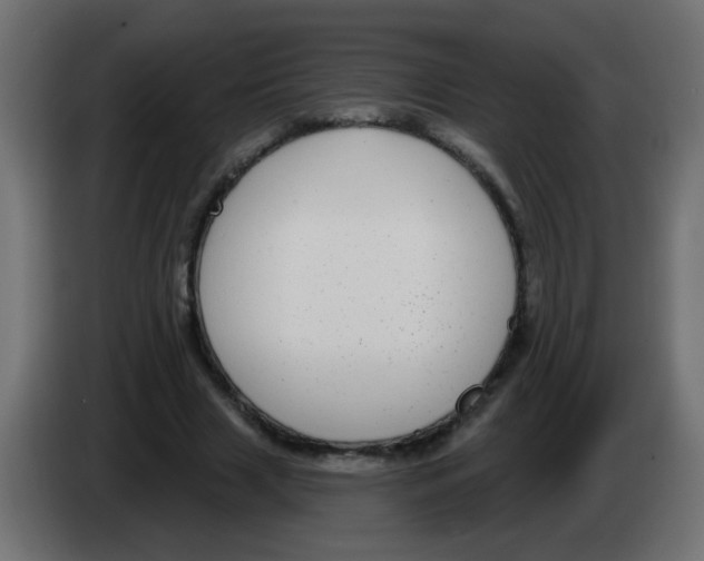 X0000083050633200703022111