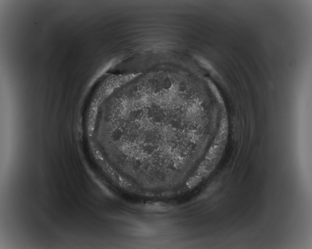 X0000083050634200703022111