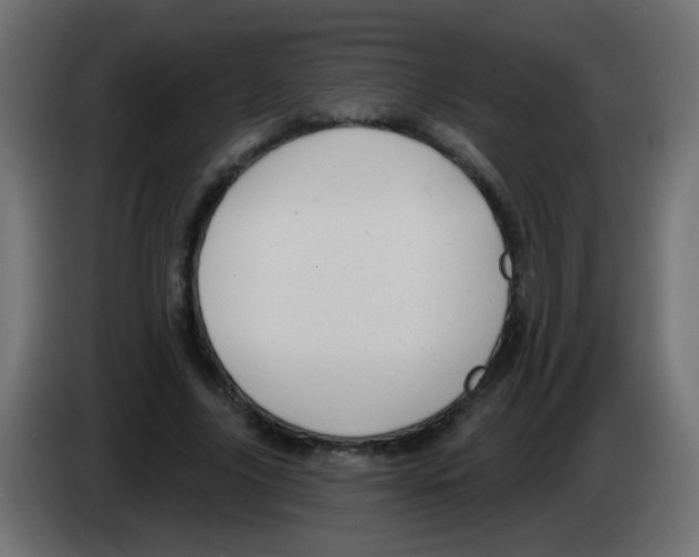 X0000083050635200703022111