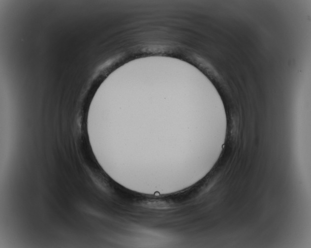 X0000083050636200703022111