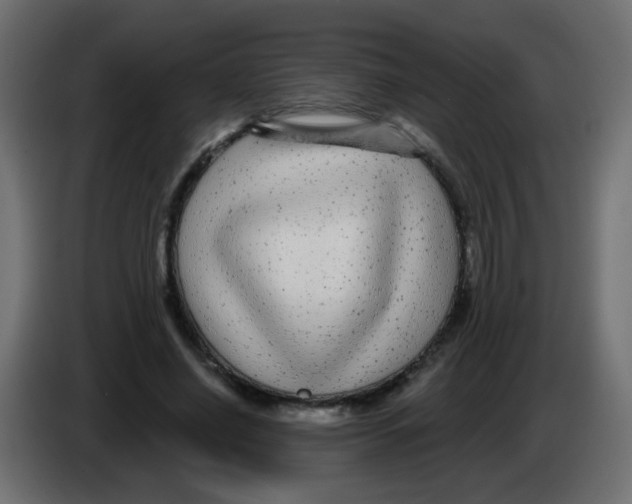 X0000083050638200703022112