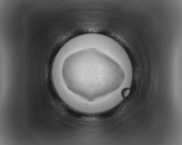 X0000083050639200703022112