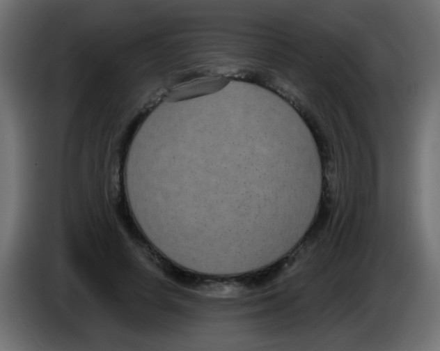 X0000083050642200703022112