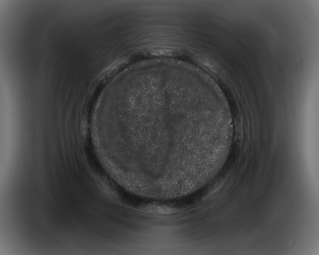 X0000083050648200703022112