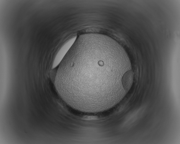 X0000083050649200703022112