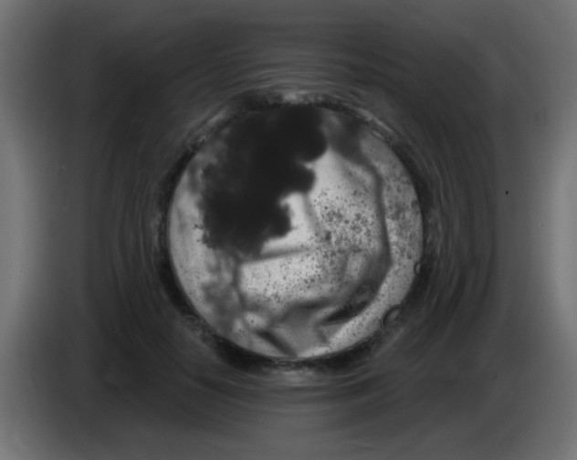 X0000083050650200703022112