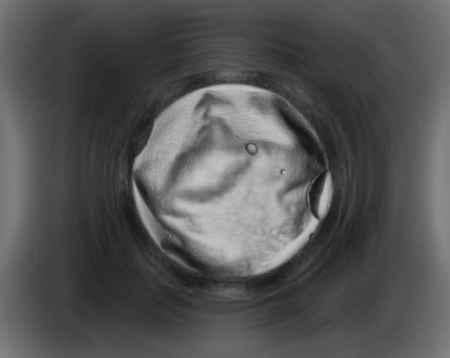 X0000083050651200703022112