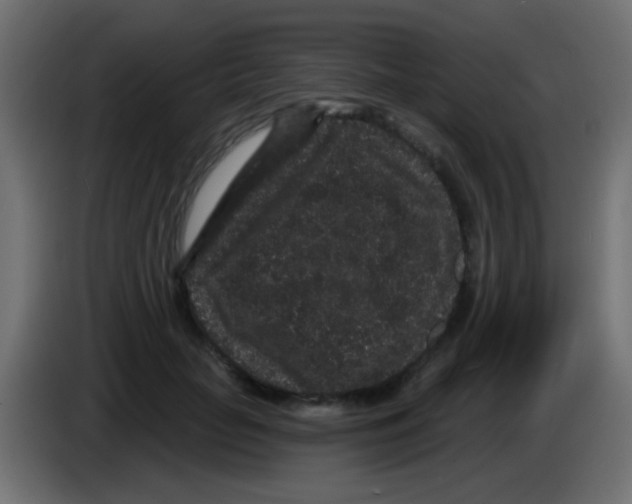 X0000083050653200703022112