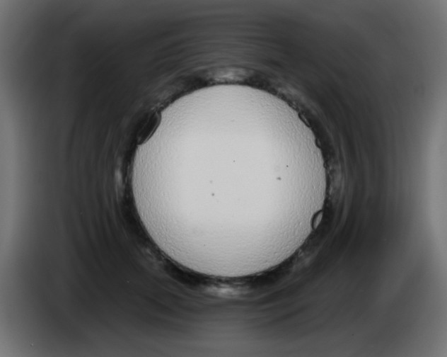 X0000083050655200703022112